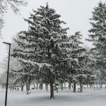 La gran nevada en las Cinco Villas