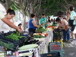 Mercado alternativo en Ejea de los Caballeros