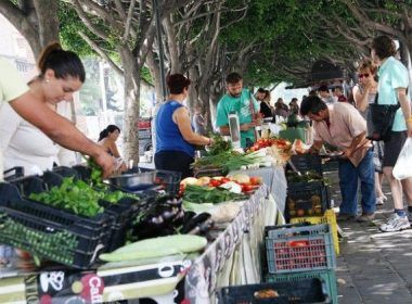 Mercado alternativo en Ejea de los Caballeros