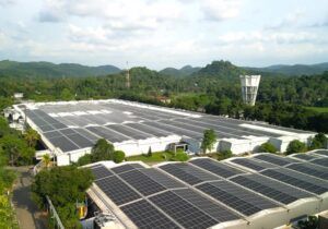 Energia verde y desarrollo